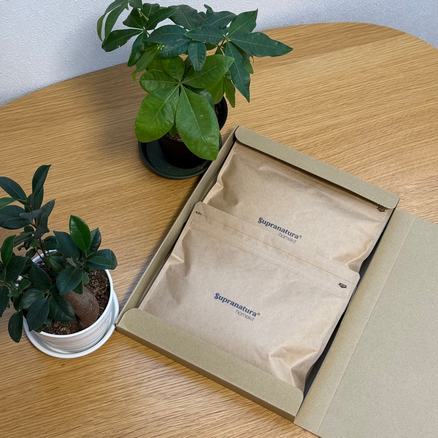 スプラナチュラ ホームキット｜家庭菜園・観葉植物用微生物オーガニック肥料 500g（250g×2袋）